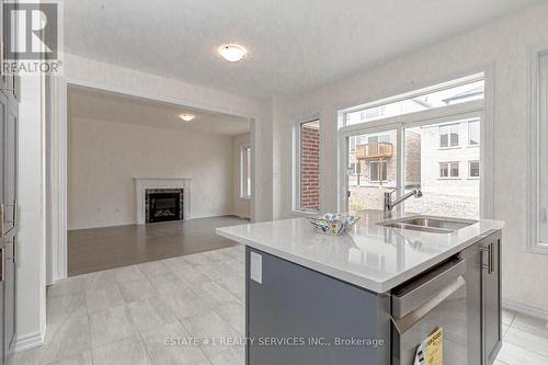 10 Blaney Street, Brant (Paris), ON - Indoor Photo Showing Kitchen With Fireplace With Double Sink