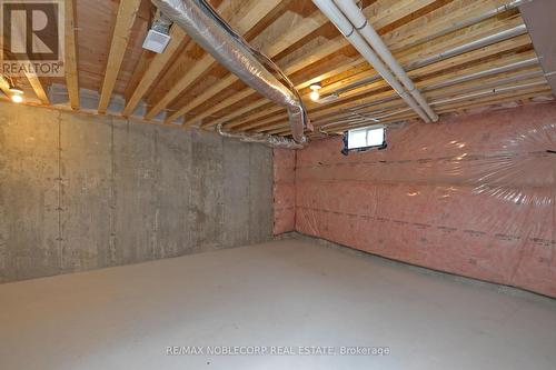 142 Corley Street, Kawartha Lakes (Lindsay), ON - Indoor Photo Showing Basement