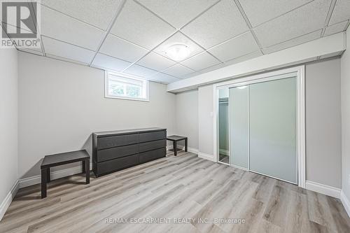 Lower - 81 Hopkins Court, Hamilton, ON - Indoor