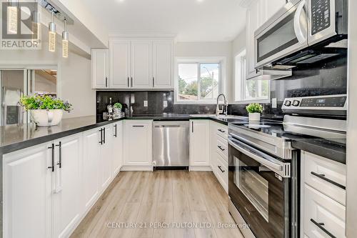 171 Norfolk Avenue, Cambridge, ON - Indoor Photo Showing Kitchen With Stainless Steel Kitchen With Upgraded Kitchen