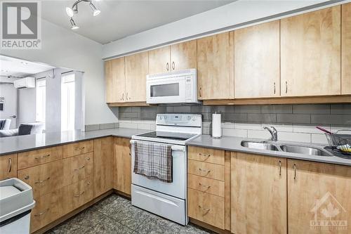 3100 Carling Avenue Unit#110, Ottawa, ON - Indoor Photo Showing Kitchen With Double Sink