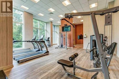 315 - 8763 Bayview Avenue W, Richmond Hill (Doncrest), ON - Indoor Photo Showing Gym Room