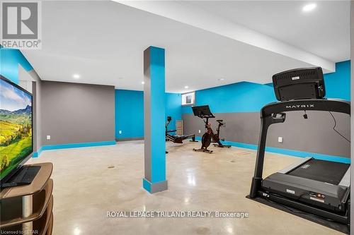 1625 Hillside Drive, London, ON - Indoor Photo Showing Gym Room