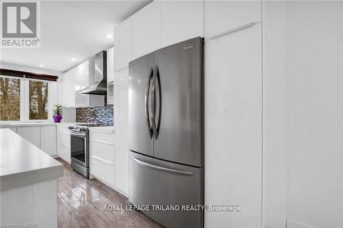 1625 Hillside Drive, London, ON - Indoor Photo Showing Kitchen