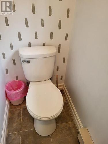 14 Park Avenue, Triton, NL - Indoor Photo Showing Bathroom