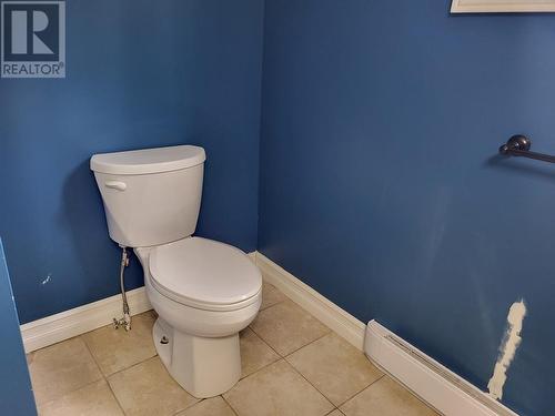 14 Park Avenue, Triton, NL - Indoor Photo Showing Bathroom