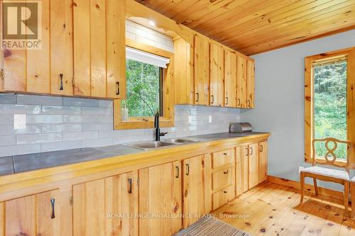 1018A Leisure Lane, North Frontenac, ON - Indoor Photo Showing Kitchen With Double Sink