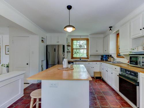 Cuisine - 326 Ch. Des Patriotes S., Mont-Saint-Hilaire, QC - Indoor Photo Showing Kitchen With Double Sink