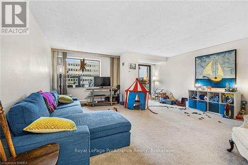 309 - 165 Ontario Street, Kingston (Central City East), ON - Indoor Photo Showing Living Room