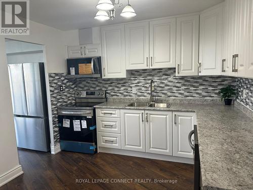 Ph 5 - 60 Pavane Linkway, Toronto (Flemingdon Park), ON - Indoor Photo Showing Kitchen With Double Sink With Upgraded Kitchen