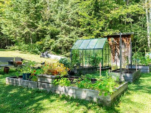 Backyard - 840 Ch. Du Lac-Bouthillier, Saint-Aimé-Du-Lac-Des-Îles, QC - Outdoor