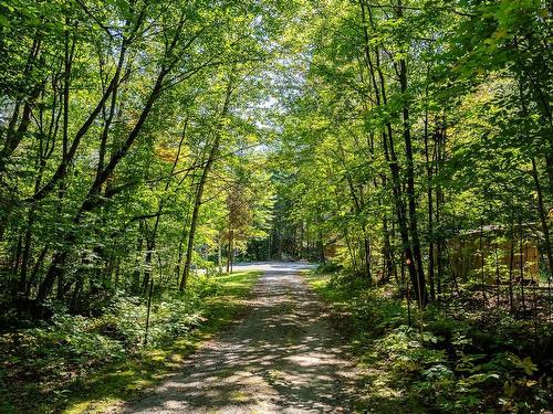 Terre/Terrain - 840 Ch. Du Lac-Bouthillier, Saint-Aimé-Du-Lac-Des-Îles, QC - Outdoor