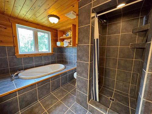 292 Branch Road 16 Storm Bay Road, Kenora, ON - Indoor Photo Showing Bathroom