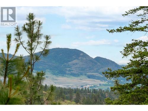 1029 Long Ridge Drive, Kelowna, BC - Outdoor With View