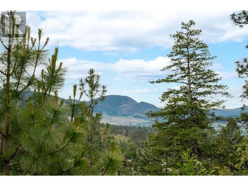 1029 Long Ridge Drive, Kelowna, BC - Outdoor With View