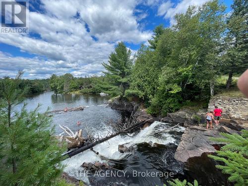 #1 - 1006 Foxpoint Road, Lake Of Bays, ON 