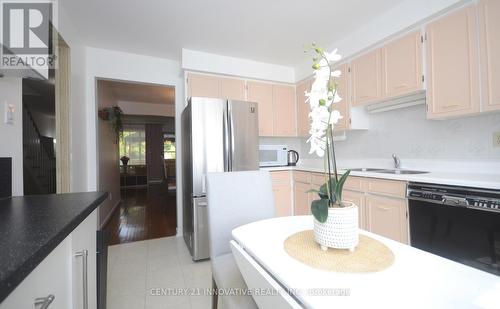 14 - 9 Candy Courtway, Toronto (Newtonbrook West), ON - Indoor Photo Showing Kitchen With Double Sink