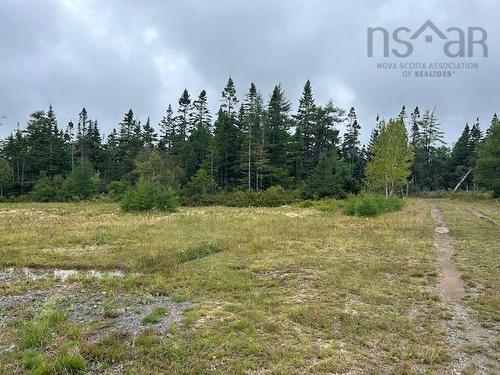 Lot 9 468 West Side Loch Lomond Road, Loch Lomond, NS 