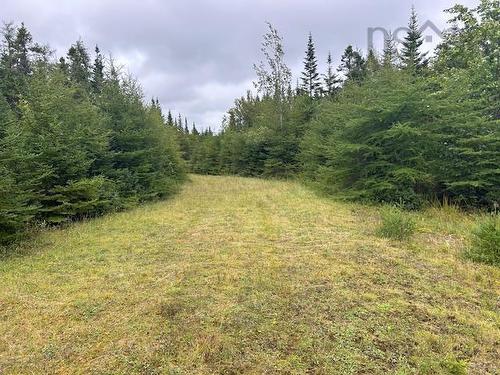 Lot 9 468 West Side Loch Lomond Road, Loch Lomond, NS 