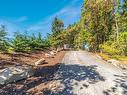 5155 Aho Rd, Ladysmith, BC 