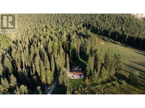 2346 Blaeberry Road, Golden, BC - Outdoor With View