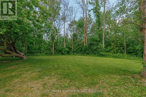 6278 Vancise Court, Clearview, ON - Outdoor