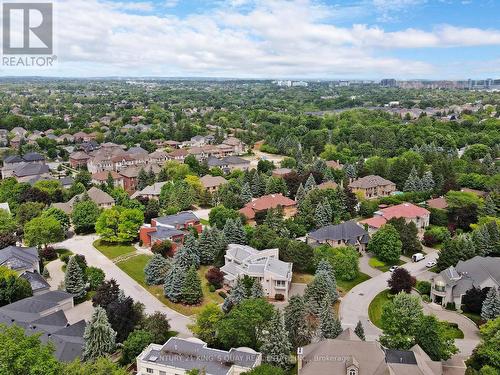 29 Moodie Drive, Richmond Hill, ON - Outdoor With View