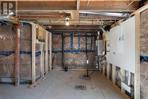 767 Argyle Road, Windsor, ON - Indoor Photo Showing Basement