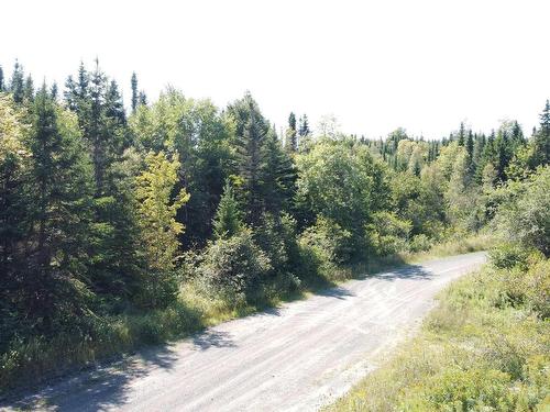 Acreage Cove Road, Watervale, NS 