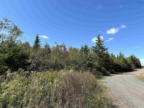 Acreage Cove Road, Watervale, NS 