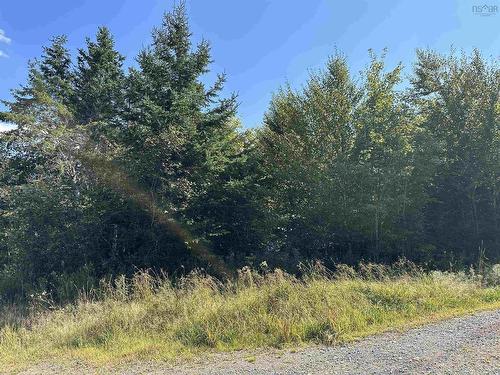 Acreage Cove Road, Watervale, NS 