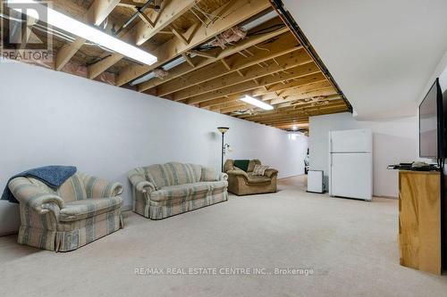 10 Simpson Street W, Mapleton (Alma), ON - Indoor Photo Showing Basement