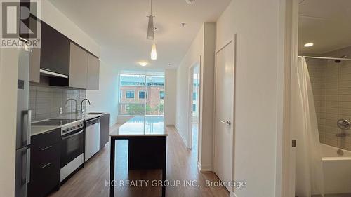 404 - 203 College Street, Toronto (Kensington-Chinatown), ON - Indoor Photo Showing Kitchen With Upgraded Kitchen