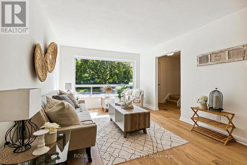 156 Woodfern Drive, Toronto (Ionview), ON - Indoor Photo Showing Living Room