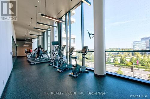 709A - 10 Rouge Valley Drive, Markham (Unionville), ON - Indoor Photo Showing Gym Room