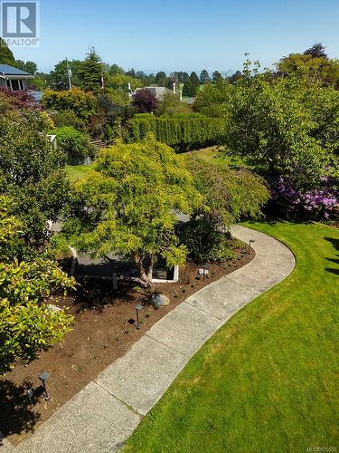 454 Newport Ave, Oak Bay, BC - Outdoor With View