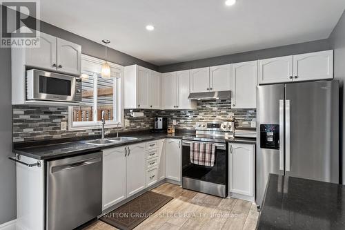 50 Crimson Crescent, London, ON - Indoor Photo Showing Kitchen With Double Sink With Upgraded Kitchen