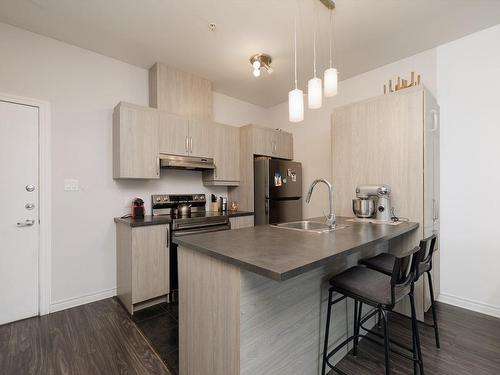 Kitchen - 308-8255 Boul. Leduc, Brossard, QC - Indoor Photo Showing Kitchen