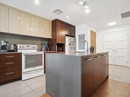 Kitchen - 2505-299 Rue De La Rotonde, Montréal (Verdun/Île-Des-Soeurs), QC - Indoor Photo Showing Kitchen