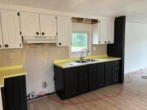 Kitchen - 95 Route 201, Coteau-Du-Lac, QC - Indoor Photo Showing Kitchen With Double Sink