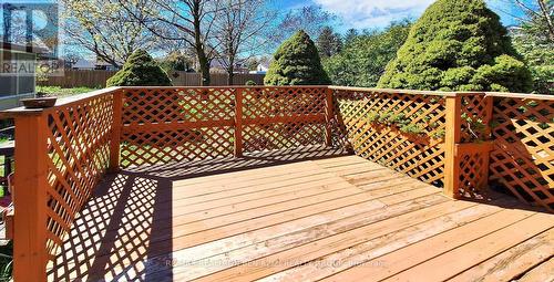 49 Don Mor Drive, Newmarket (Central Newmarket), ON - Outdoor With Deck Patio Veranda