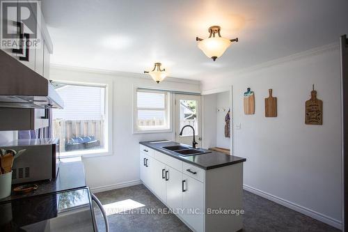 10 3Rd Concession Ntr Road, Tillsonburg, ON - Indoor Photo Showing Kitchen With Double Sink