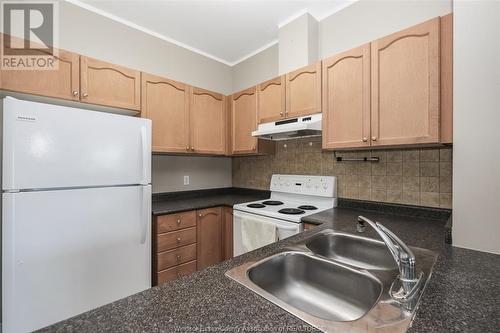 4500 Ypres Unit# 306, Windsor, ON - Indoor Photo Showing Kitchen With Double Sink