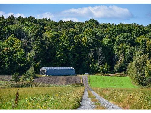 Wooded area - 45 Rg Des Vingt, Saint-Basile-Le-Grand, QC 