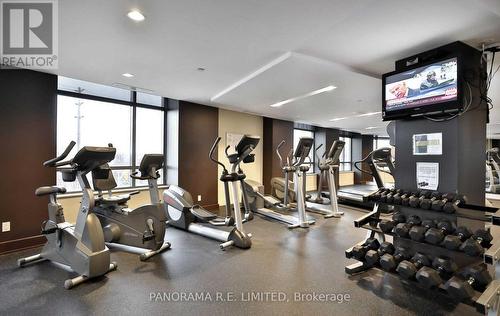 207 - 235 Sherway Gardens Road, Toronto (Islington-City Centre West), ON - Indoor Photo Showing Gym Room