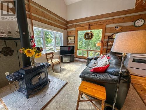 119 Burke Street, Spring Bay, Manitoulin Island, ON - Indoor Photo Showing Living Room With Fireplace