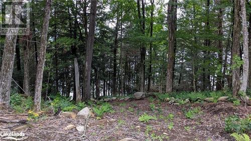 Lot 2 Esig Lane, Lake Of Bays, ON 