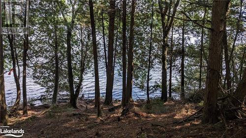 Lot 2 Esig Lane, Lake Of Bays, ON 