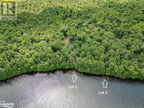 Lot 2 Esig Lane, Lake Of Bays, ON 