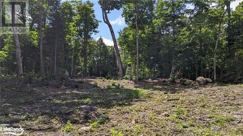 Lot 2 Esig Lane, Lake Of Bays, ON 